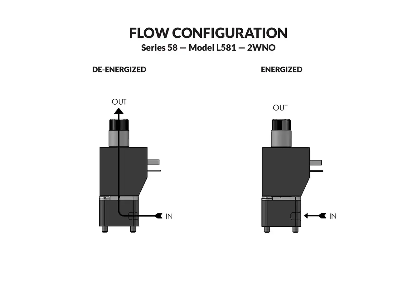 Series L58 Model L581 flow diagram