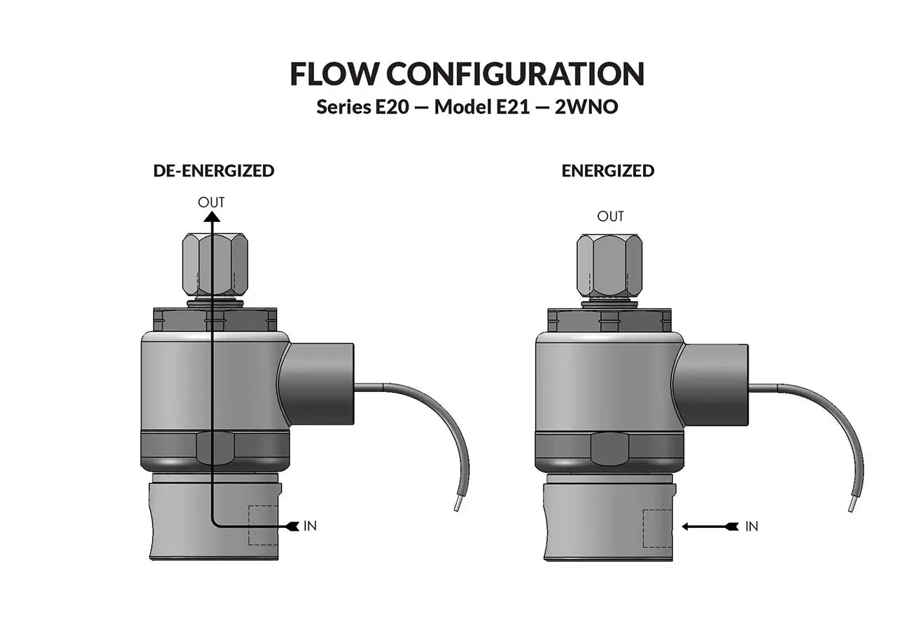 Series 20 Model E21 Flow diagram